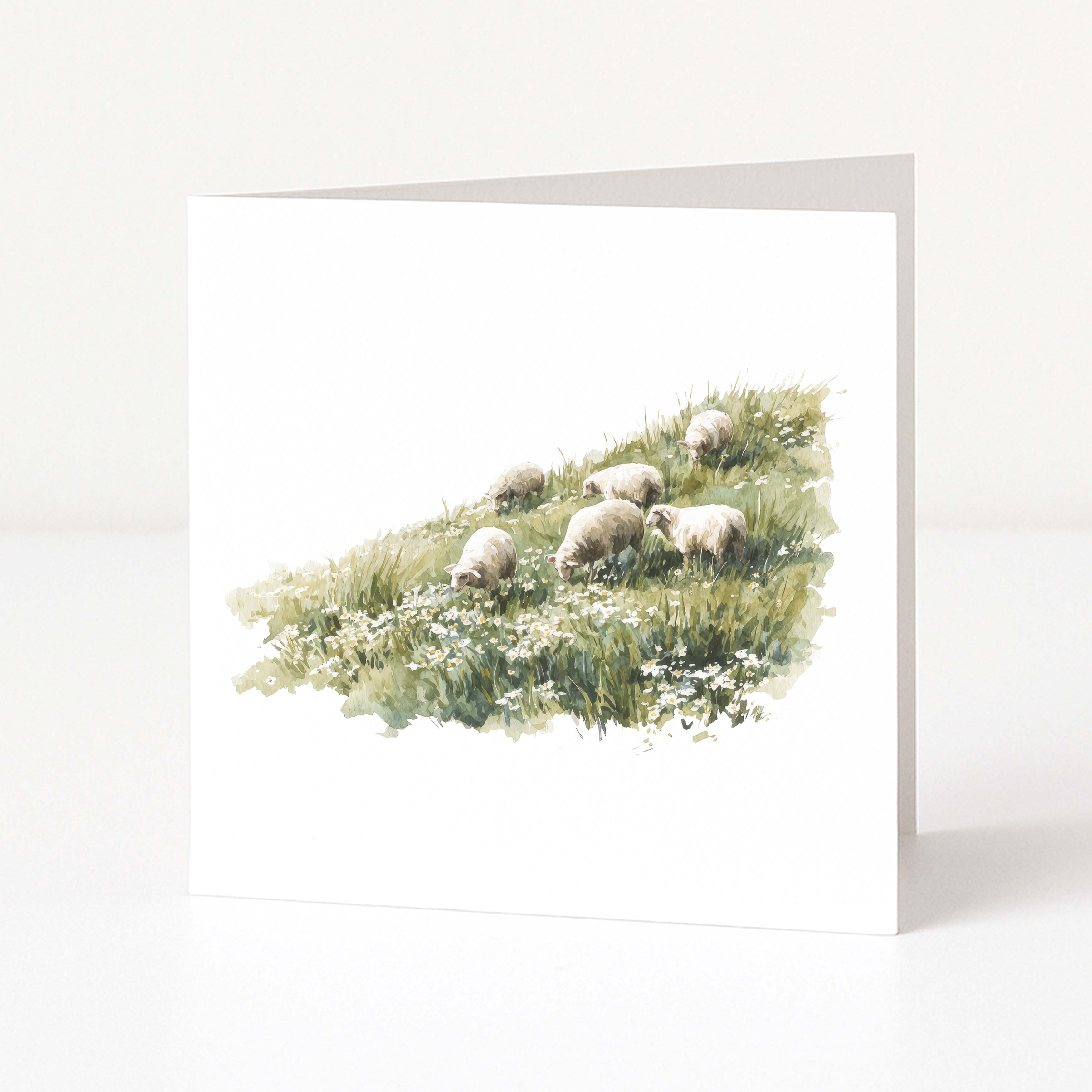 Greeting card with a watercolor illustration of sheep in a field on a white background