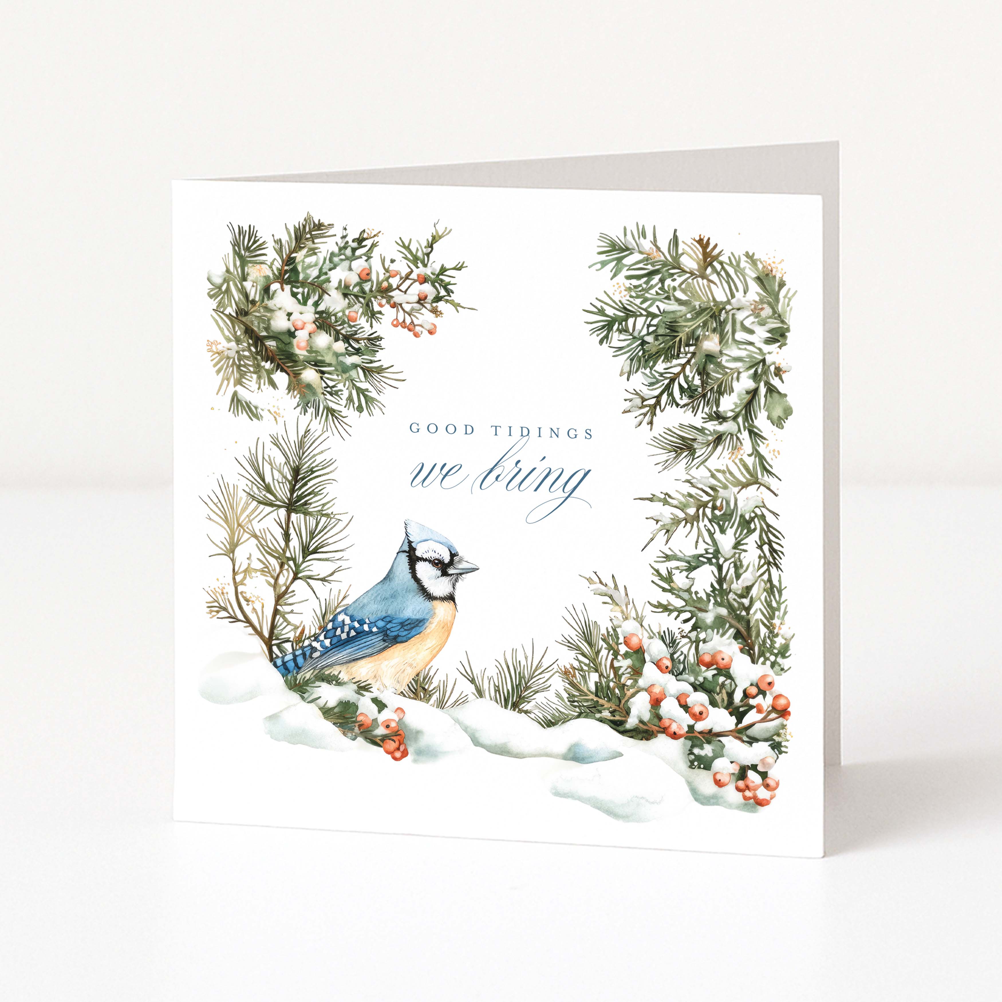 A square white Christmas greeting card featuring a watercolor illustration of a blue jay in a snowy winter scene, surrounded by green pine branches with small red berries and the text 'GOOD TIDINGS we bring'.