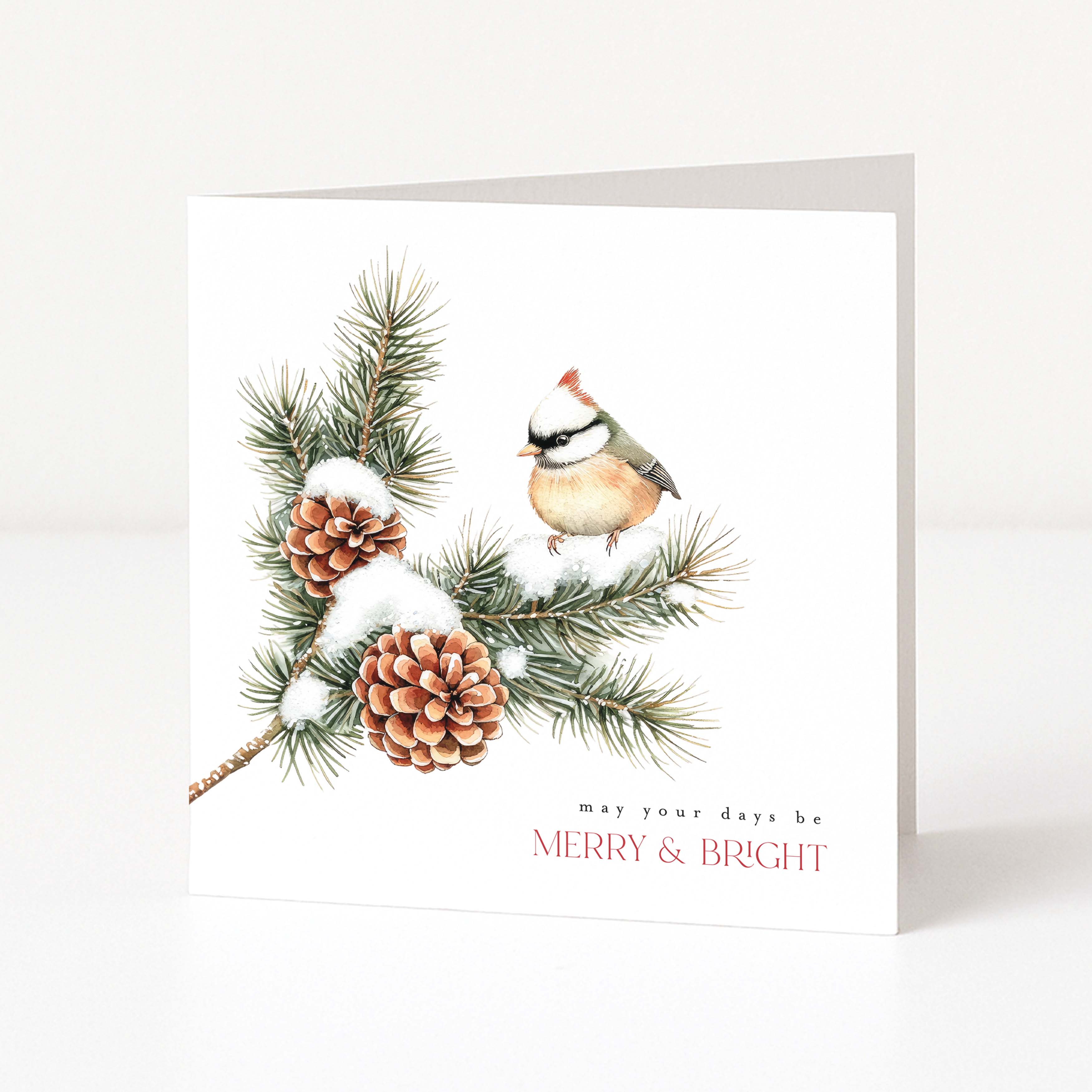A square white Christmas greeting card standing upright on a light neutral surface. The front features an illustrated pine branch with snow, two pinecones, and a small bird, with the text 'may your days be MERRY & BRIGHT' near the bottom.