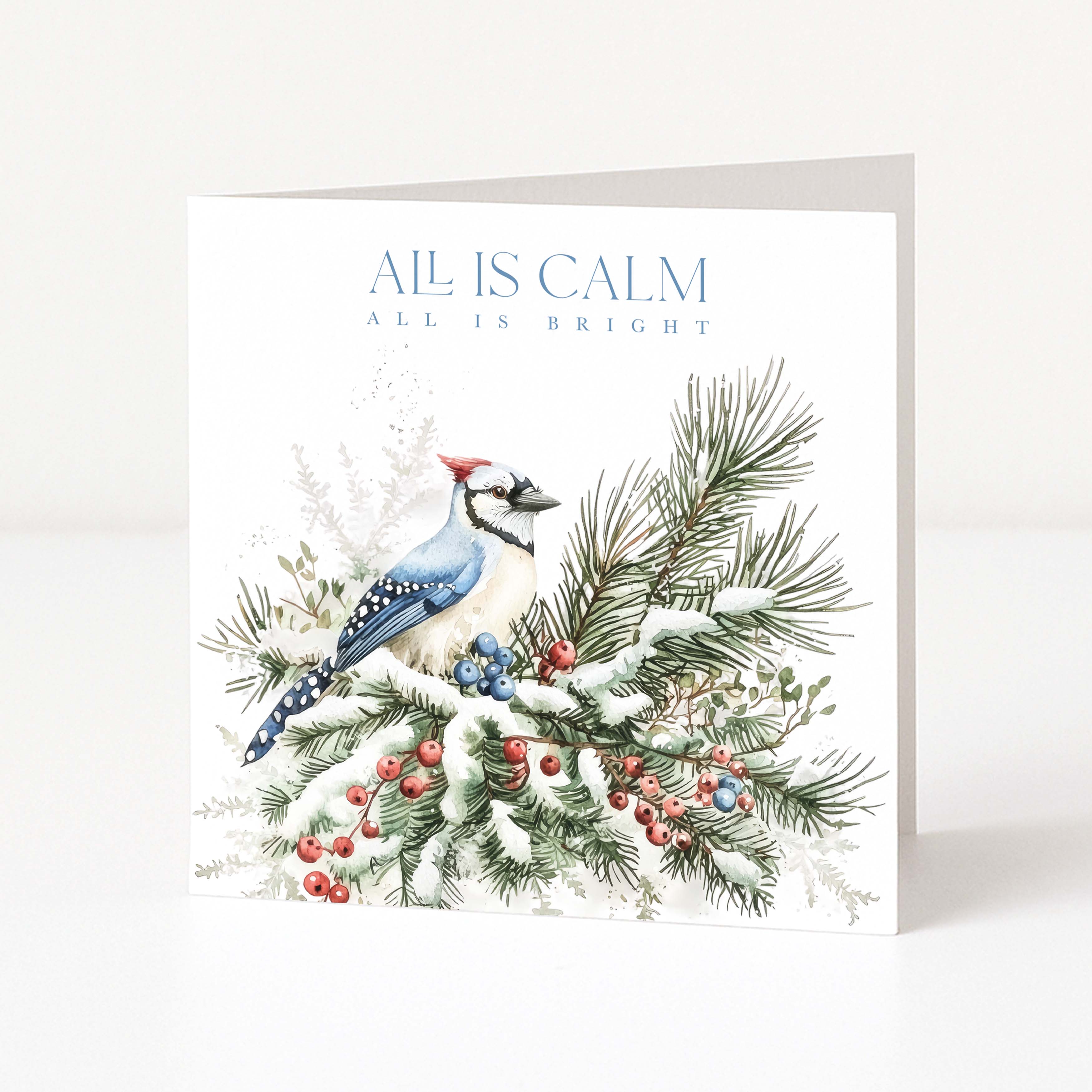 A square Christmas greeting card standing upright on a white surface, featuring a blue jay perched on snowy pine branches with red berries. The card reads 'ALL IS CALM ALL IS BRIGHT' in blue text at the top.