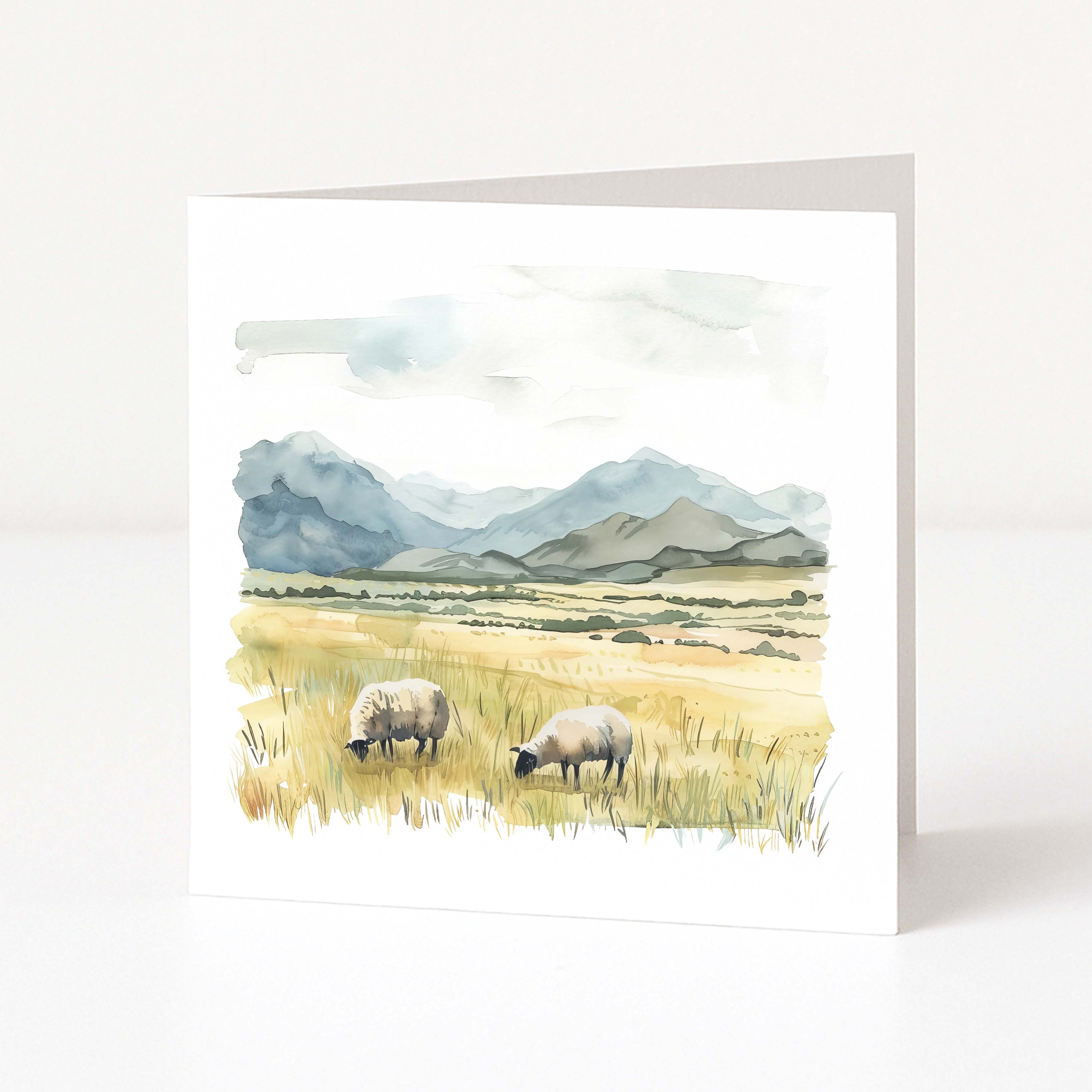 Greeting card with watercolor illustration of sheep in a field with mountains.