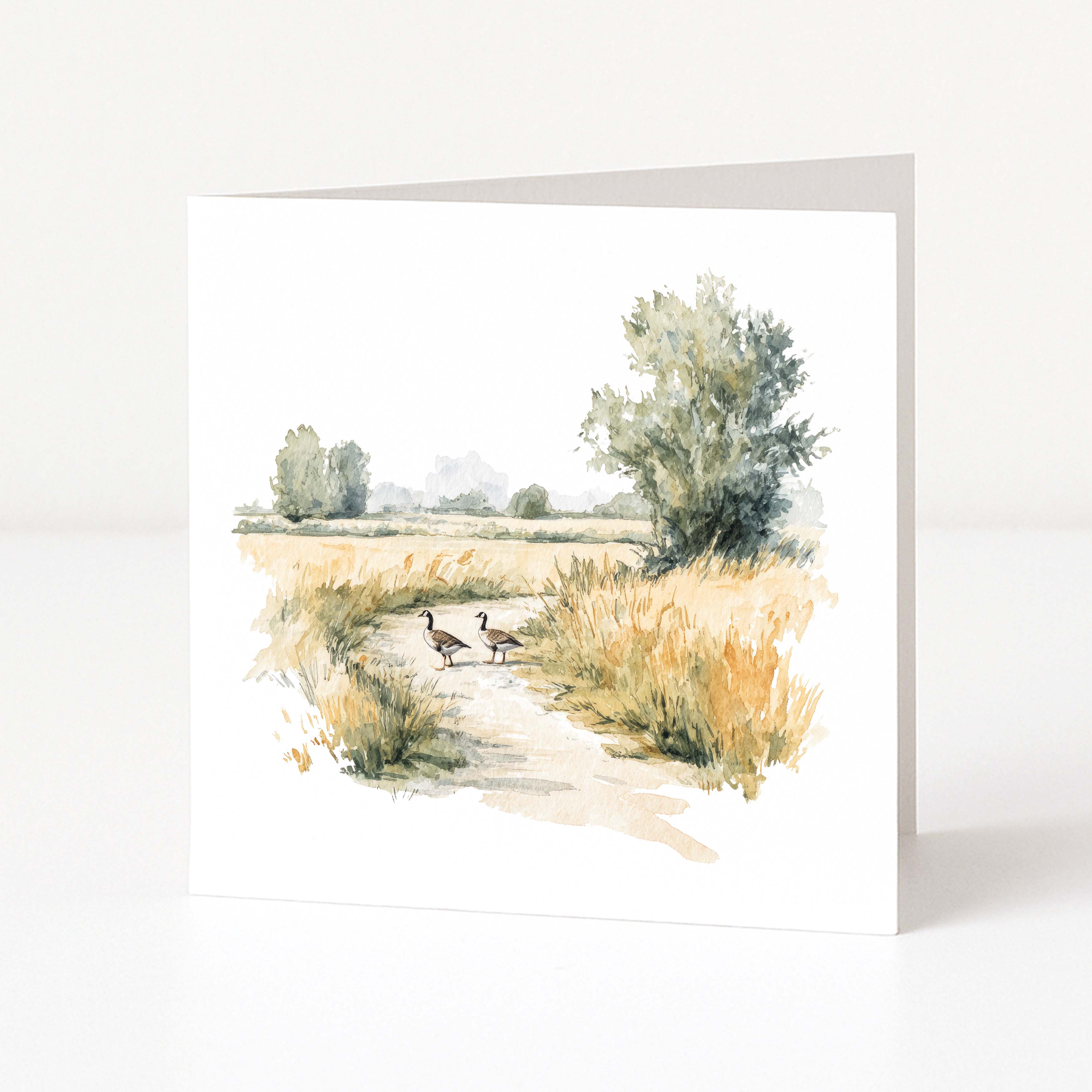 Greeting card with a nature scene of geese walking on a path on a white background
