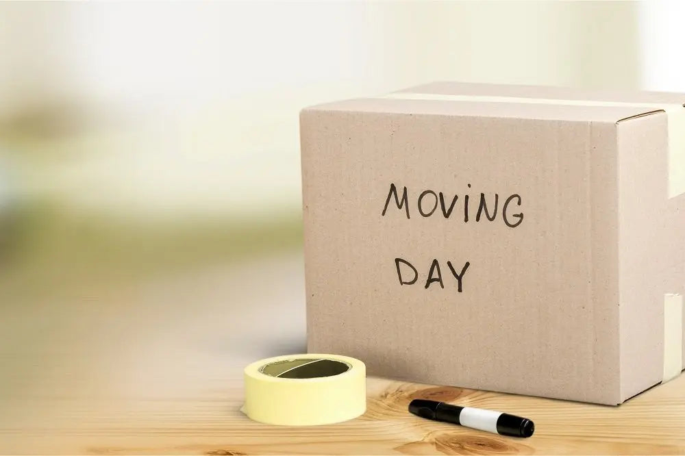 Studio Move | 22nd-26th February