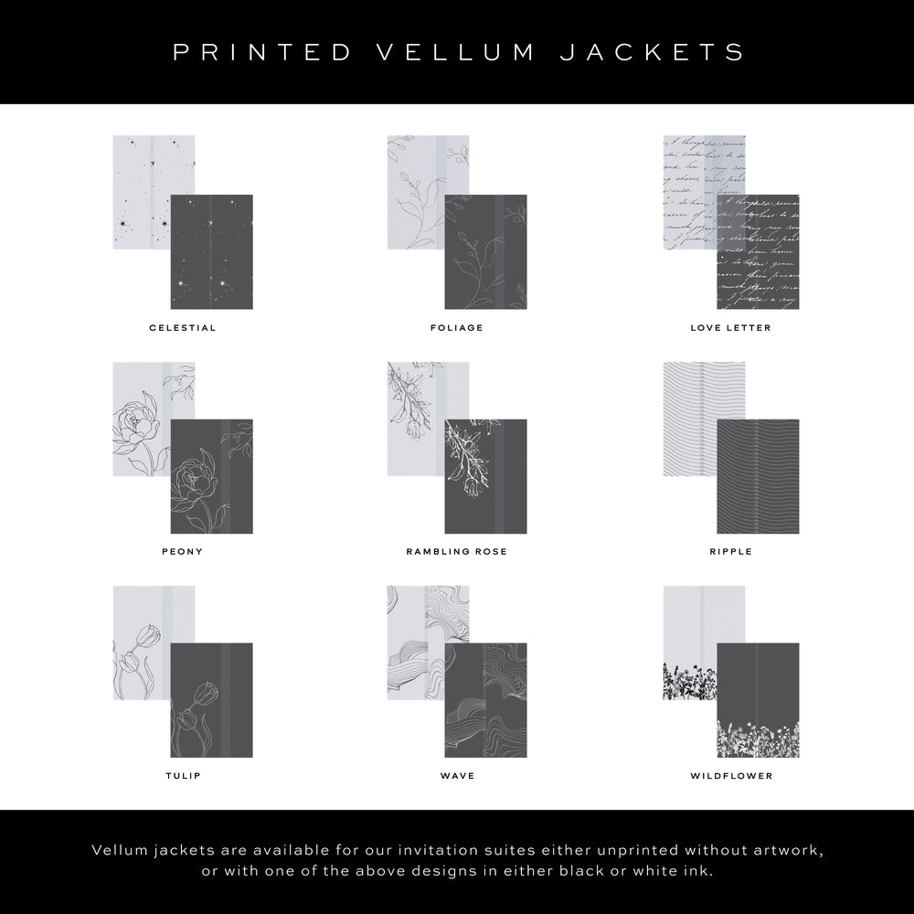 Chancery Lane - All Sample Packs