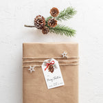 Personalised Christmas Gift Tag Pack - Fir Cone (CGT004)