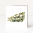 Greeting card with a watercolor illustration of sheep in a field on a white background