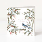 A square Christmas greeting card with a white background, featuring a border of snow-covered pine branches with red berries and a blue jay perched on the lower right. The words 'merry christmas' are printed in small red letters near the centre.
