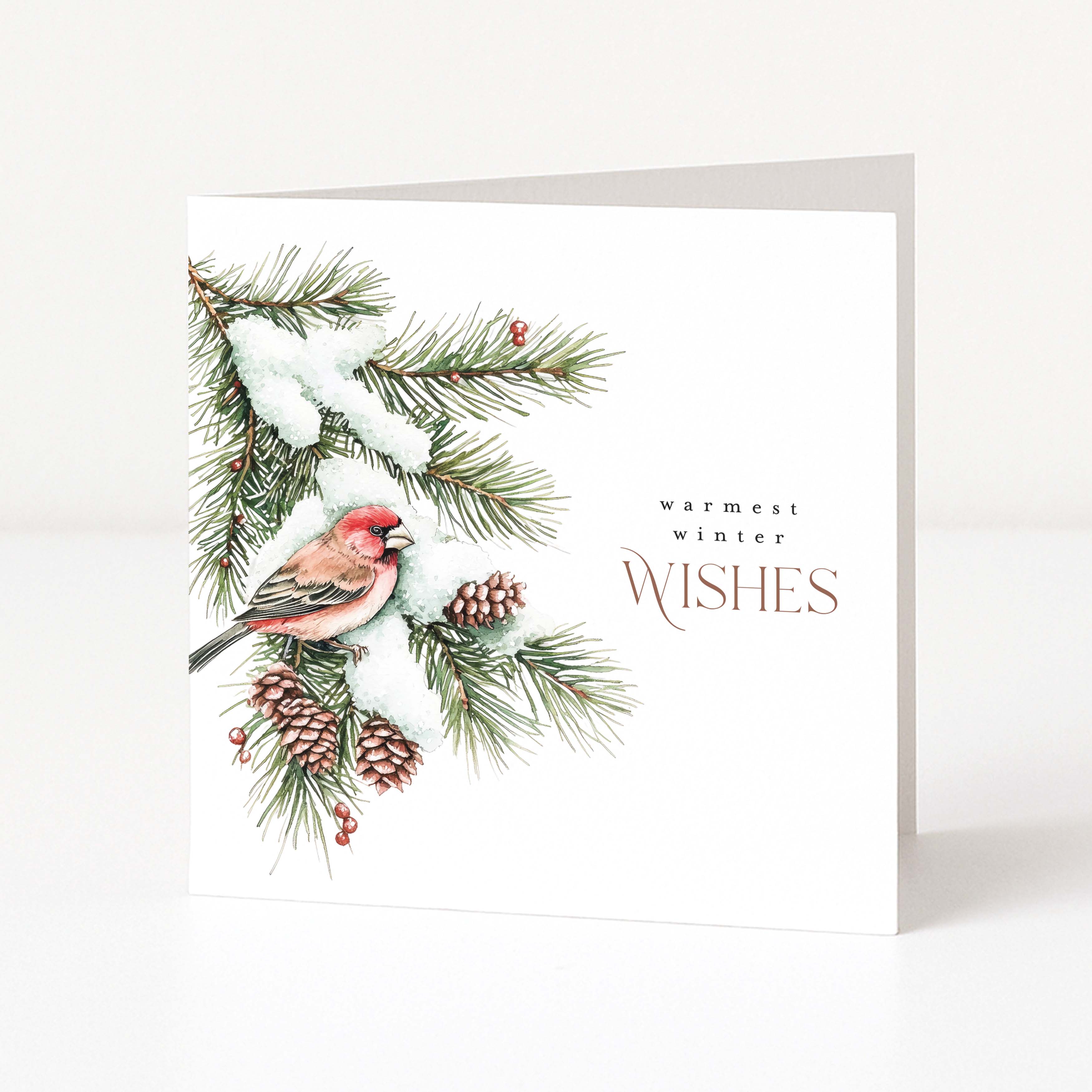 A white greeting card standing upright on a light surface, featuring a watercolor-style winter branch with snow, pinecones, a red finch bird, and the text 'warmest winter WISHES'.