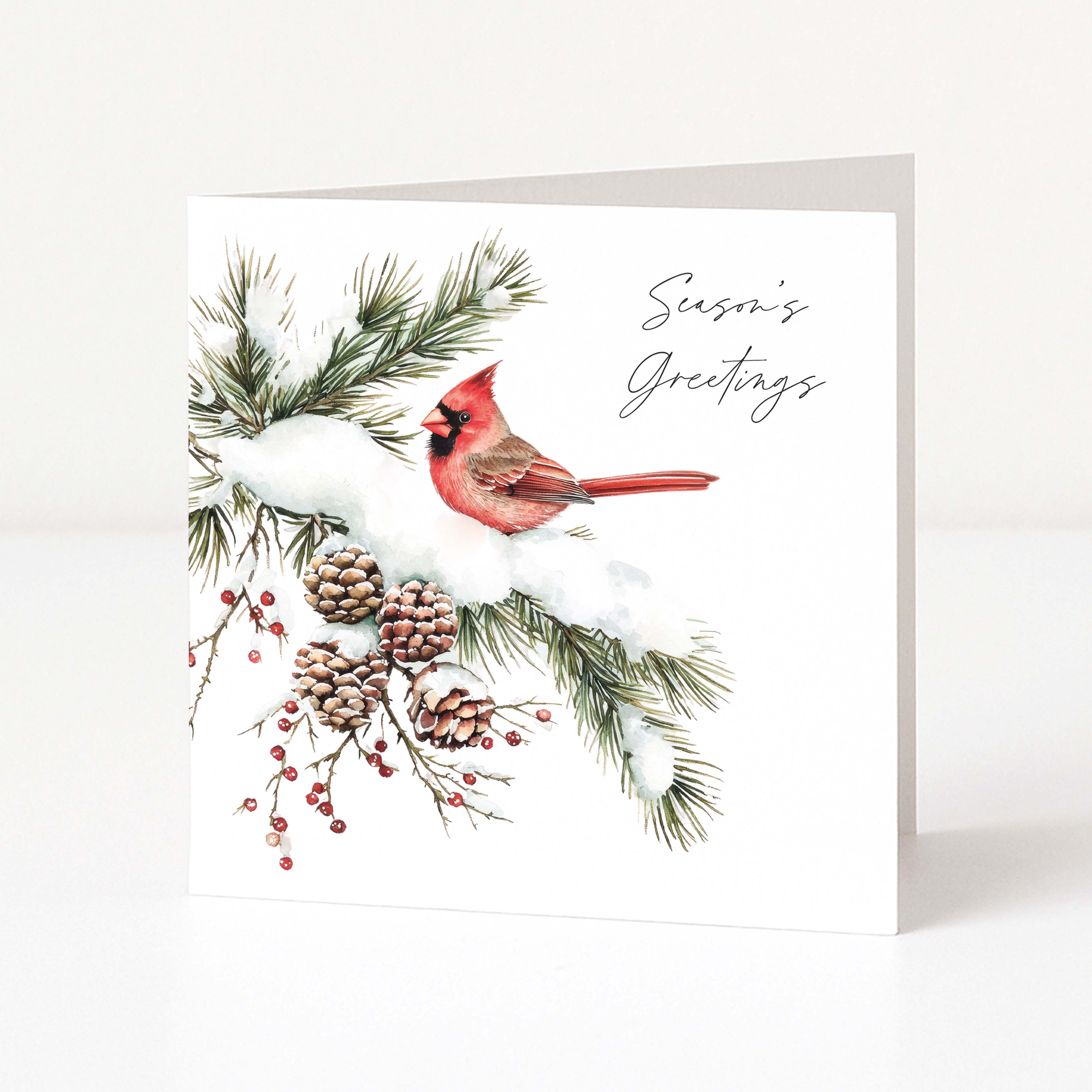 A white greeting card standing upright on a light neutral surface. The front features an illustration of a red cardinal perched on snowy pine branches with pinecones, and the text 'Season's Greetings' in black script.
