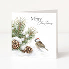 A square Christmas greeting card standing upright on a white surface. The card features a watercolour-style winter scene with pine branches covered in snow, two pinecones, and a small bird.
