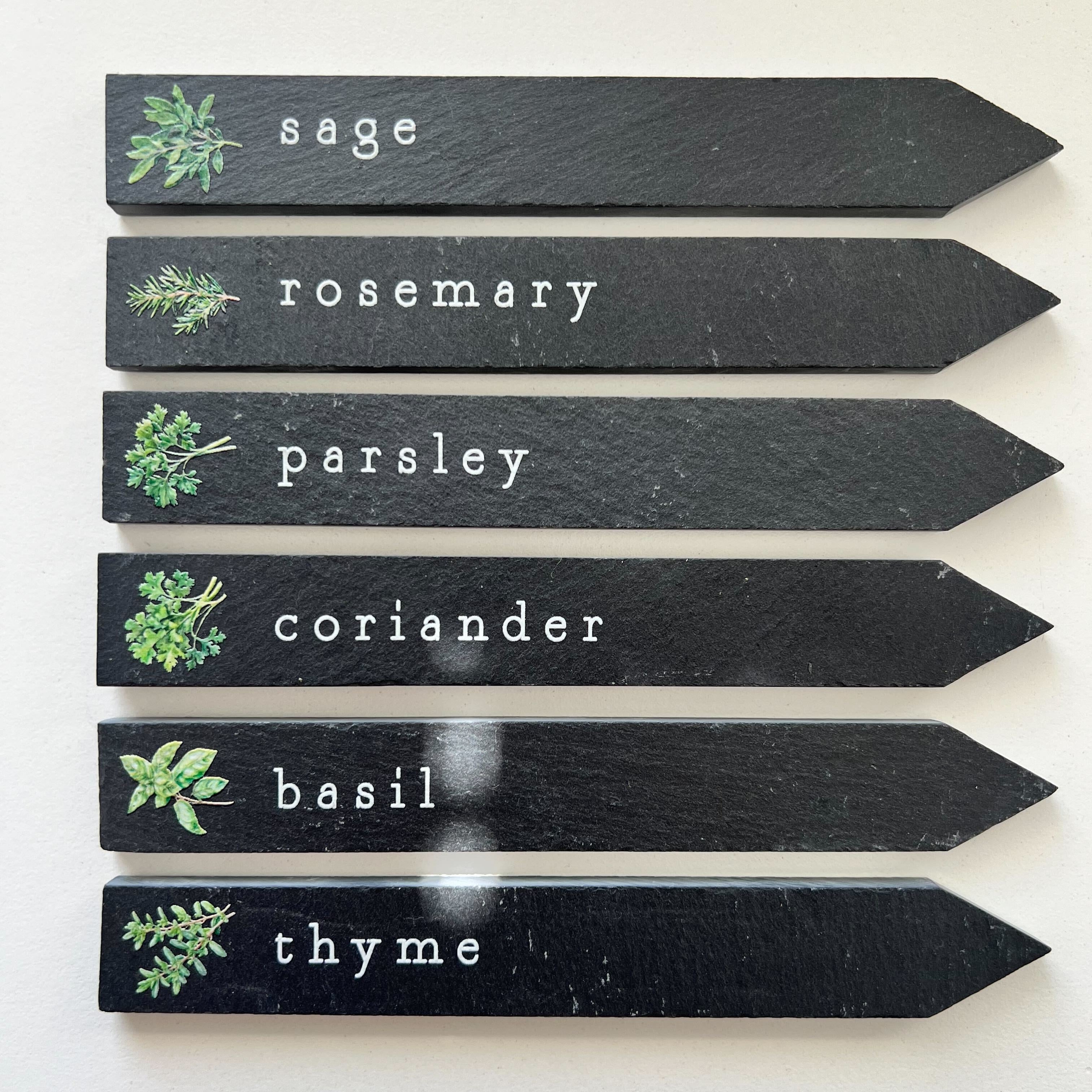 Set of herb markers with names on a white background