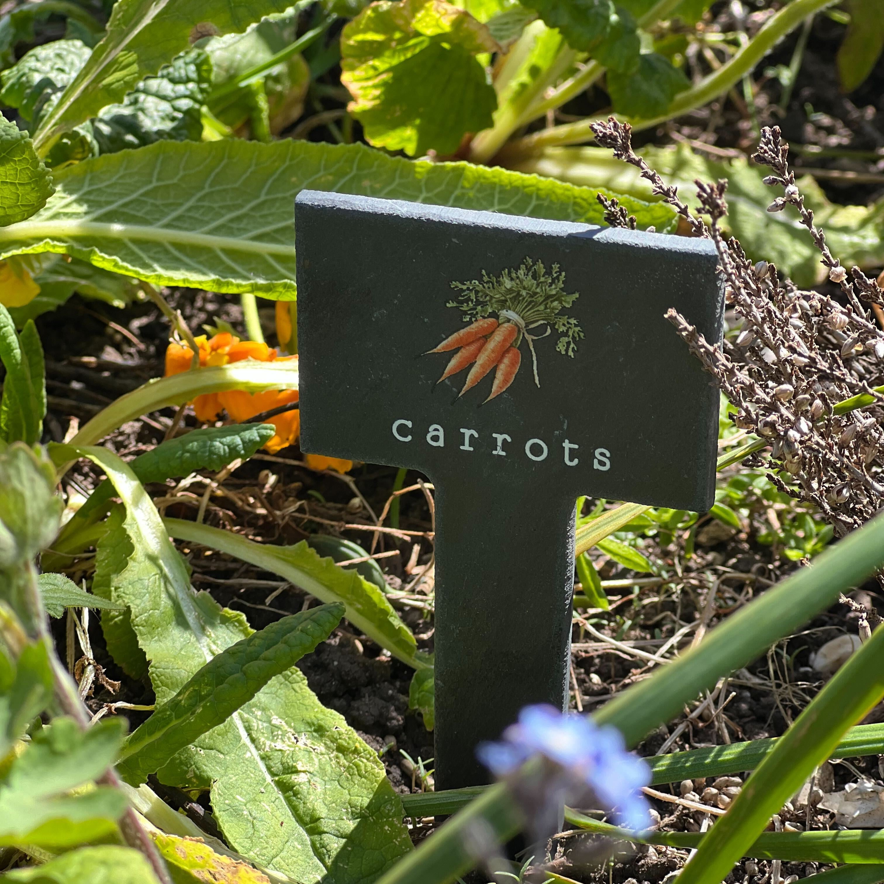 Slate vegetable marker with the wod "carrots" printed on it