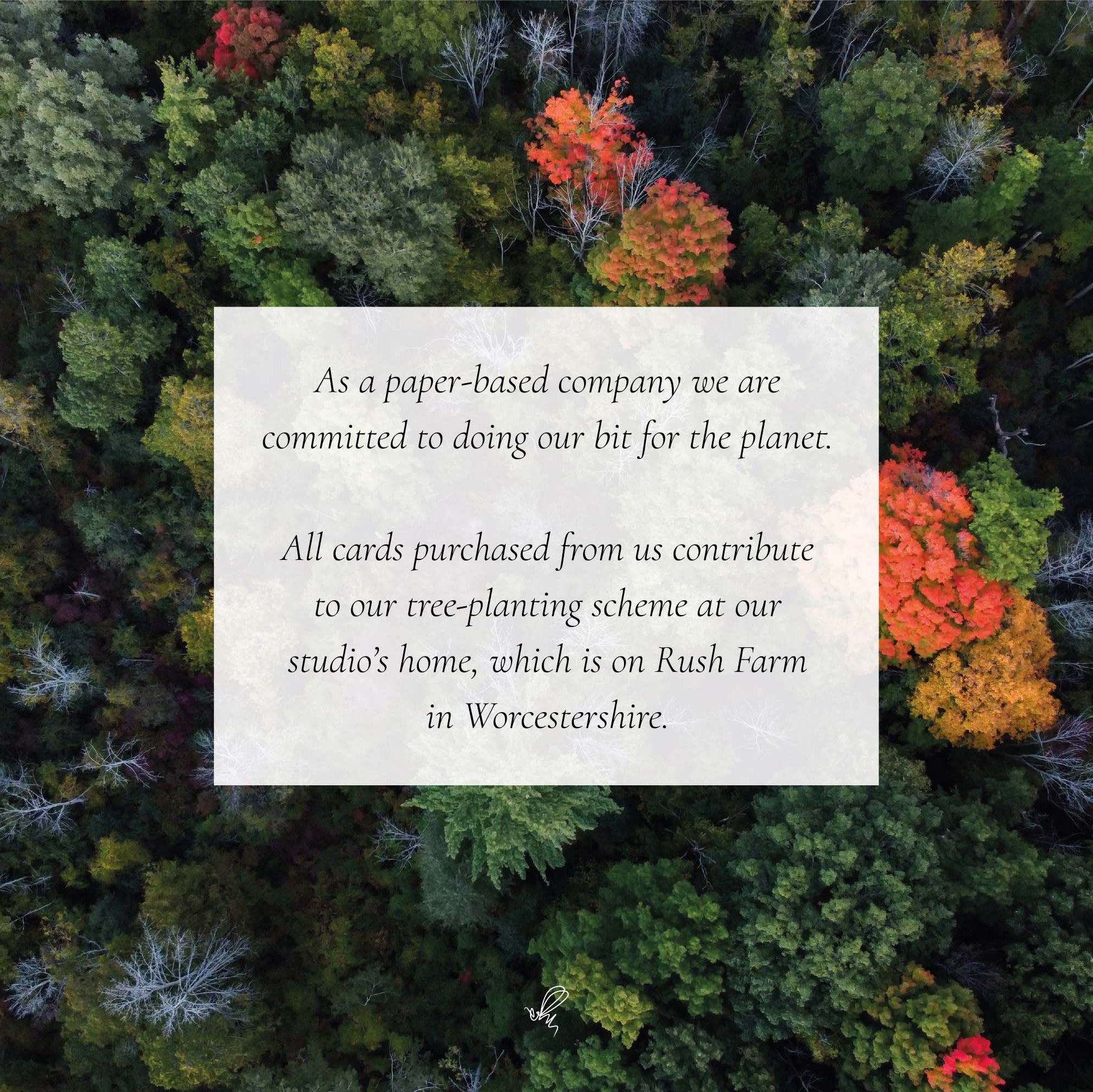 Aerial view of a forest with a white card overlaying it containing text about a paper-based company's commitment to tree planting.