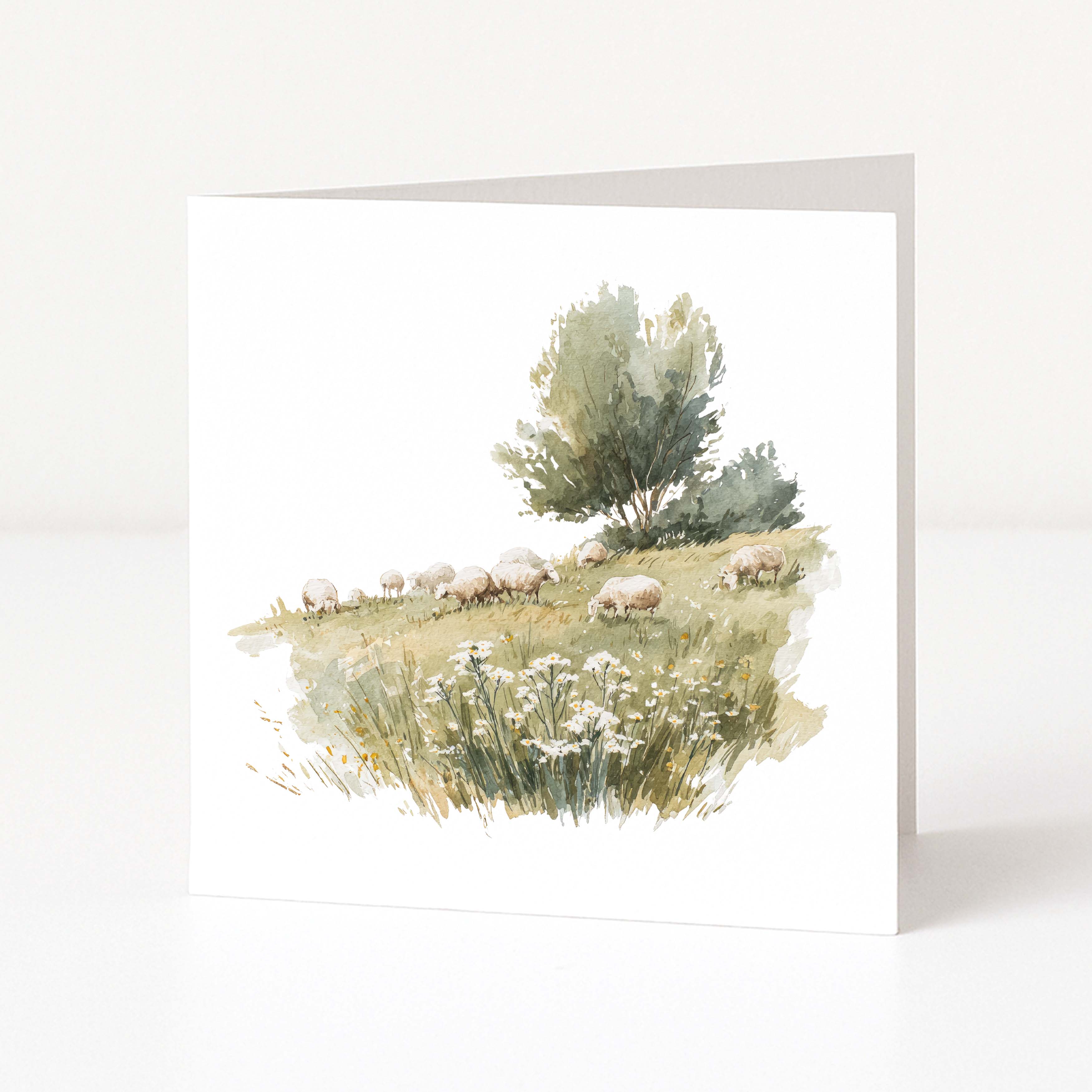 Greeting card with a scenic illustration of sheep in a field on a white background