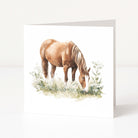 Greeting card with a horse illustration on a white background