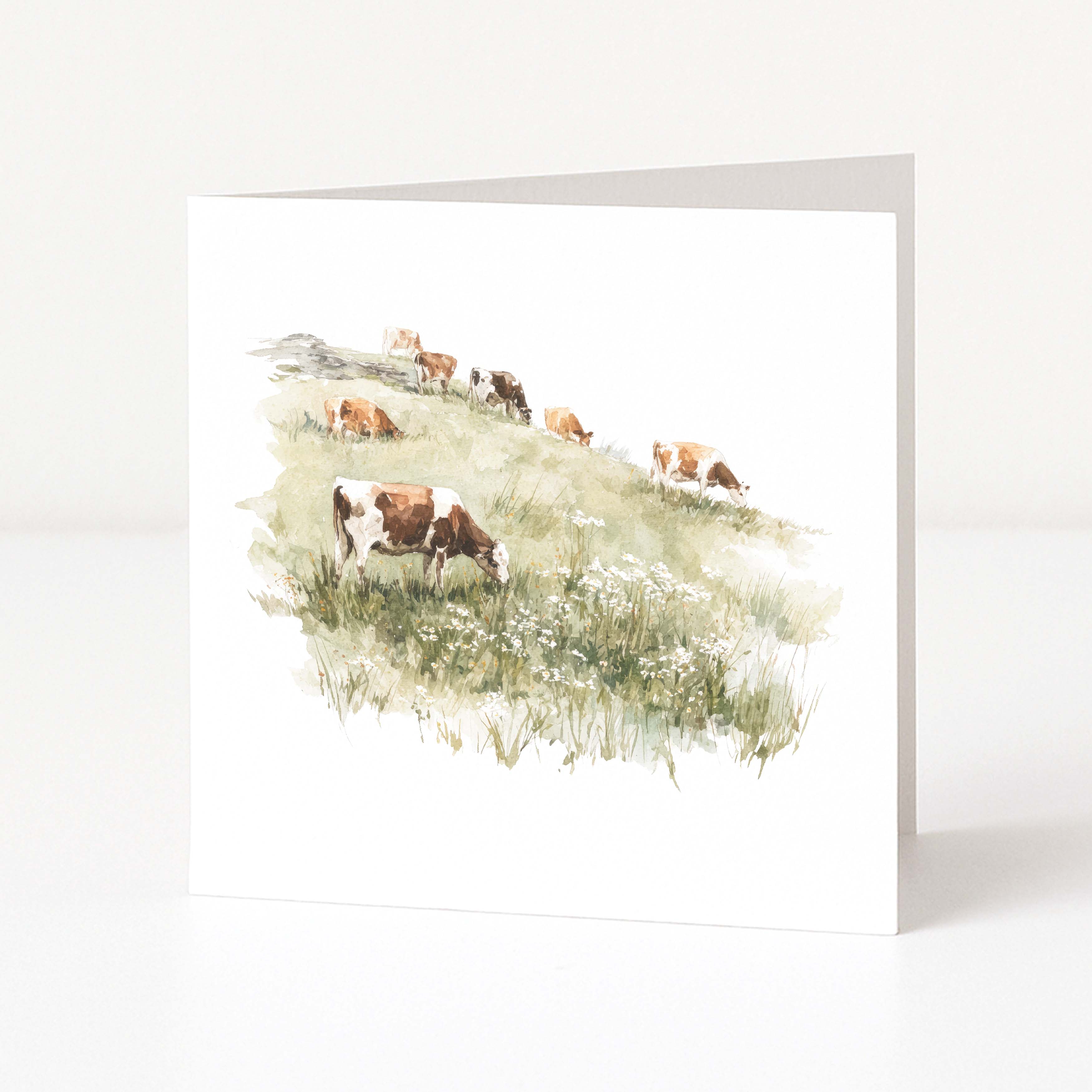 Greeting card with a watercolor illustration of cows in a field on a white background